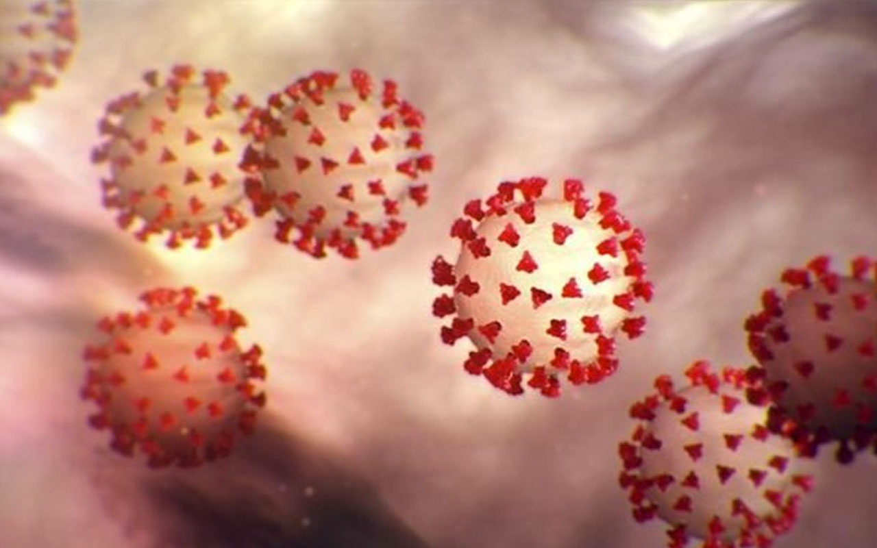 Koronavirüsün yeni mutasyonu dünyaya yayılıyor! Japonya'da 5 kişide tespit edildi