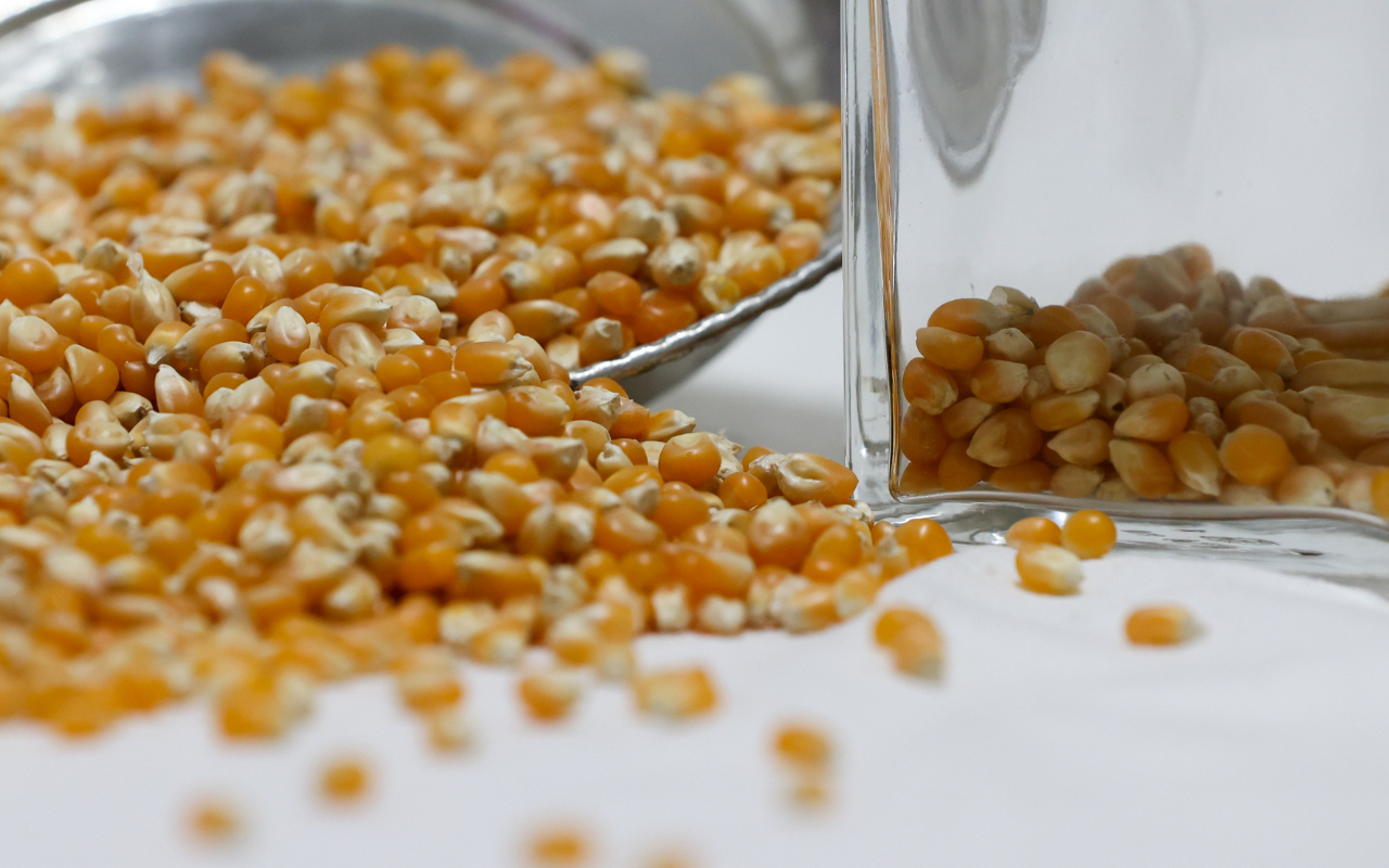 Koronavirüs salgınında cin mısıra talep yüzde 300 arttı