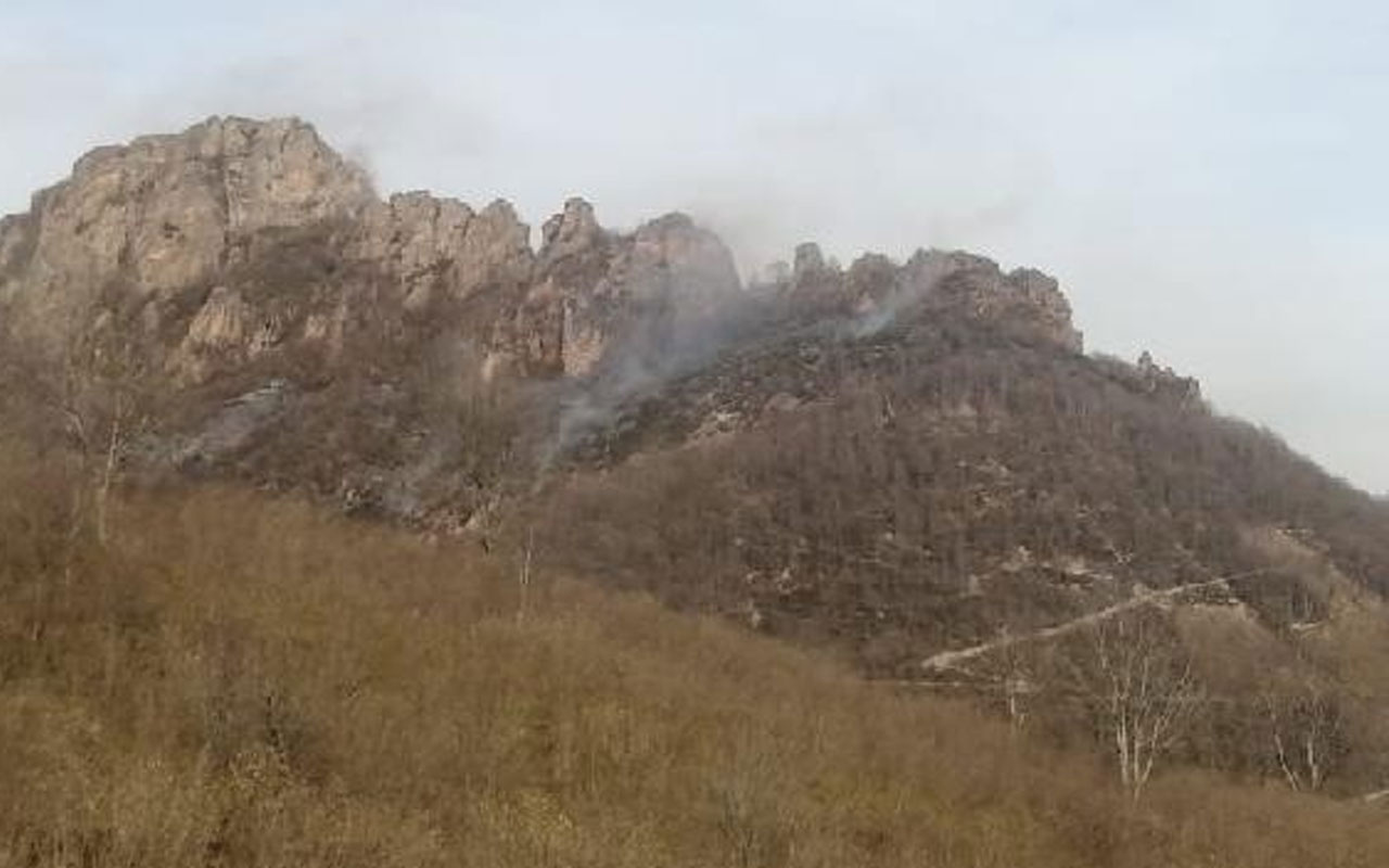 Ordu'daki orman yangını 5 saatte kontrol altına alındı! 20 dönüm alan yandı