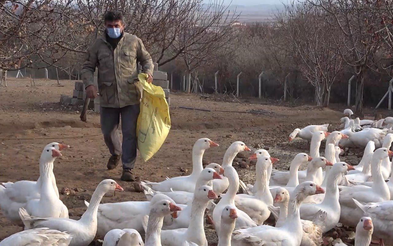 Kırıkkale'de tavsiye üzerine başladı paraya para demiyor! Yıllık kazancı dudak uçuklattı