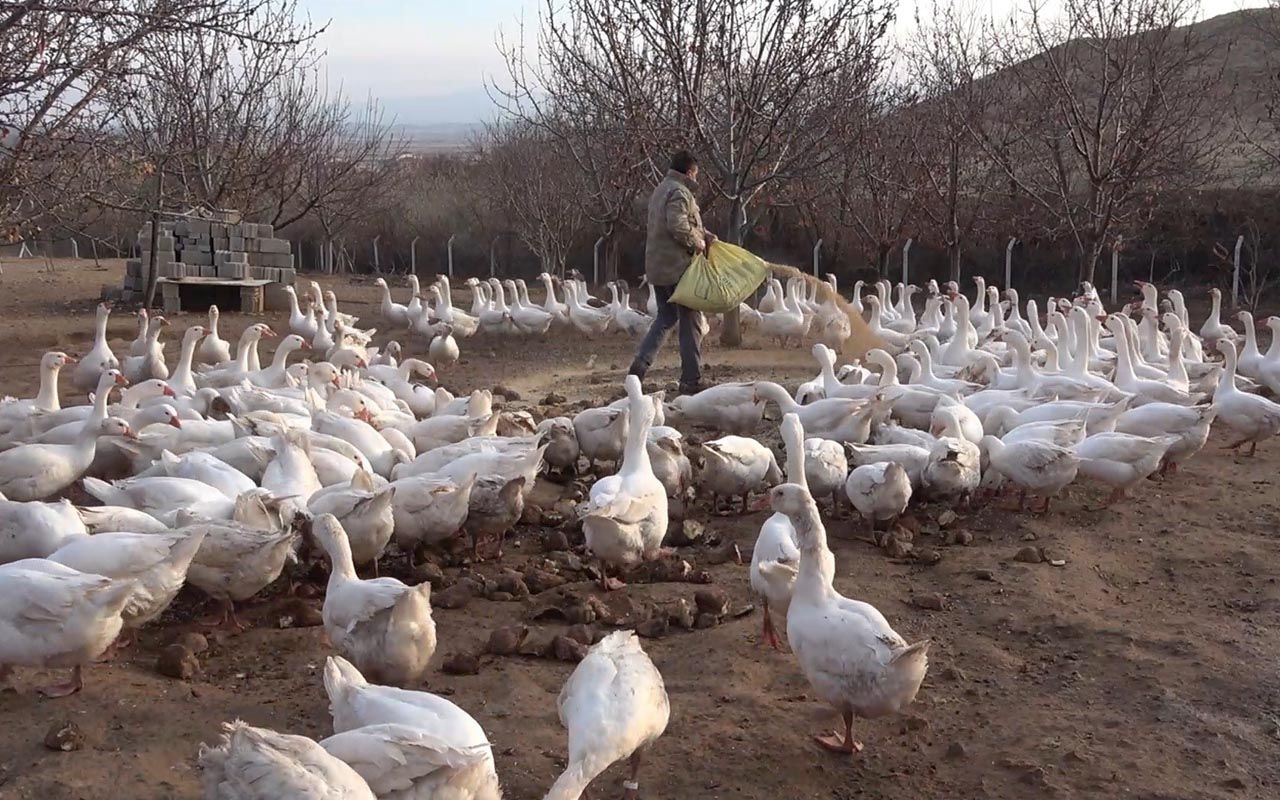 Kırıkkale'de tavsiye üzerine başladı paraya para demiyor! Yıllık kazancı dudak uçuklattı