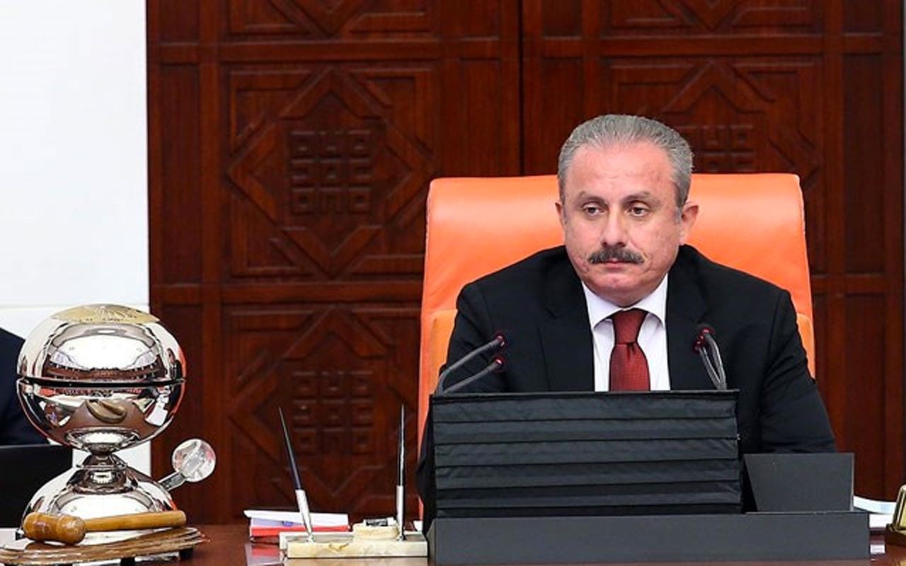 TBMM Başkanı Mustafa Şentop'tan DBP'li vekil tepkisi: Dokunulmazlığı kaldırılıp ceza verilmeli