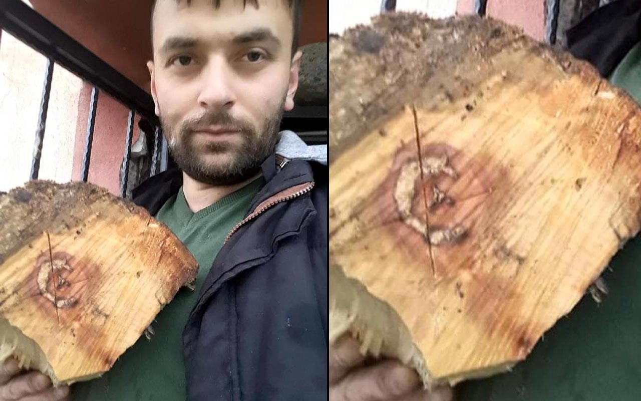 Zonguldak'ta kestiği odunun içinden çıkanı görünce hayrete düştü