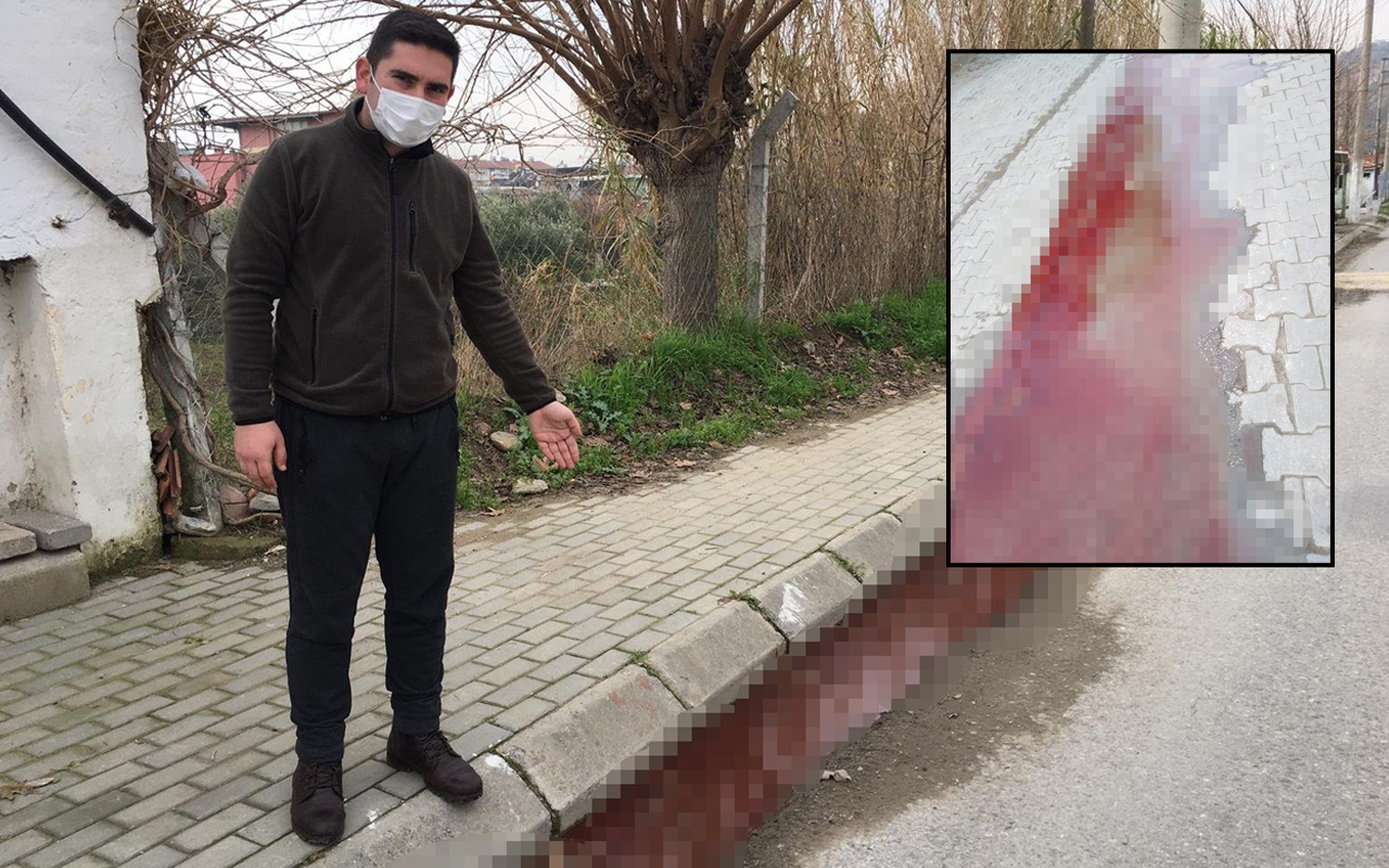 Aydın'da sokaktaki kanlı su görenleri korkuttu! Sebebi bakın ne çıktı