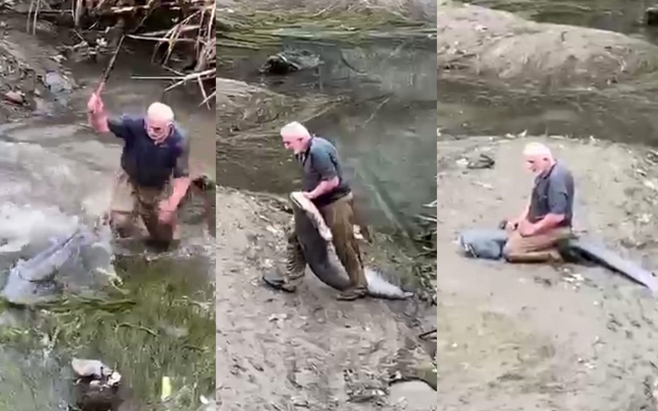 Yeşilırmak'ta boyu kadar büyük balığı sopayla vurarak yakalayıp üstüne oturdu! Canavar gibiydi