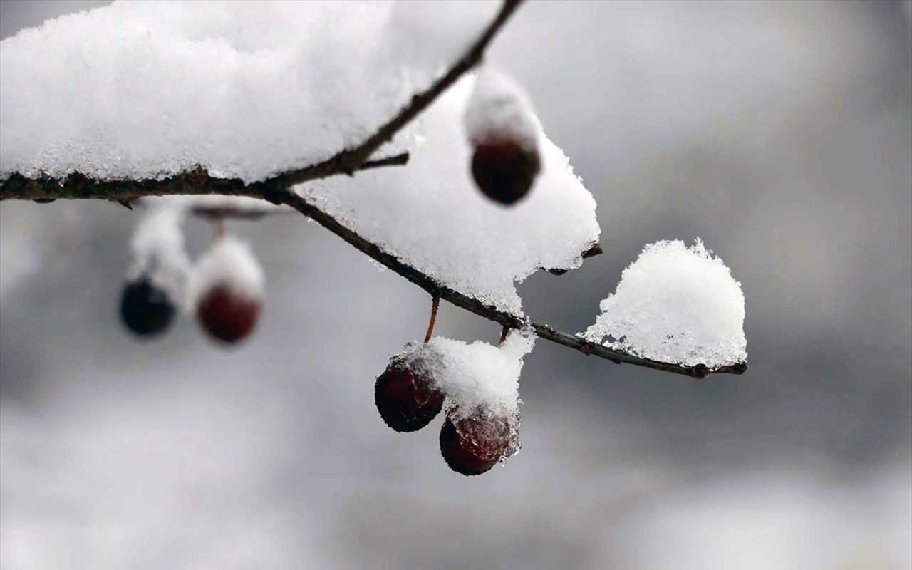 İstanbul'da kar alarmı! Meteoroloji gün verip uyardı: 20 cm kar yağacak