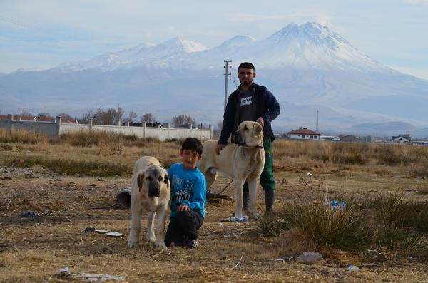 Araba parasına vermedi! Aksaray'da almak isteyen aylarca bekliyor fiyatı dudak uçuklattı