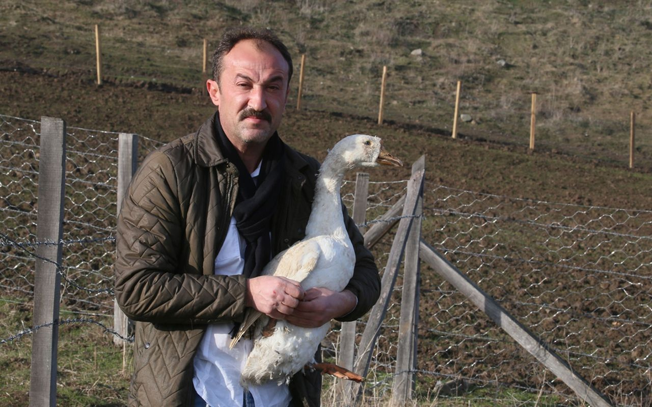 Almanya'da işini bıraktı Türkiye'ye döndü! Şehirden sıkılan gurbetçinin hayali gerçek oldu