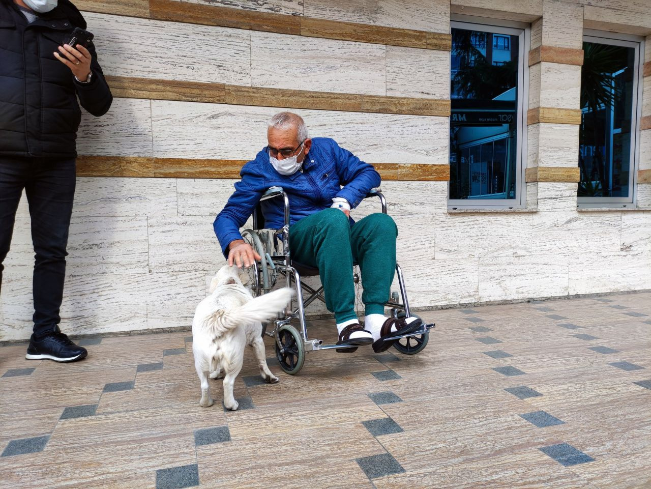 Dünya Trabzon'daki bu köpeği konuşuyor! Gazeteler manşetten duyurdu