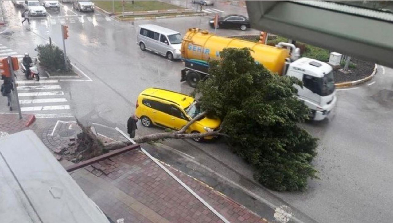 Denizli, Antalya ve İzmir'de fırtına hayatı olumsuz etkiledi!