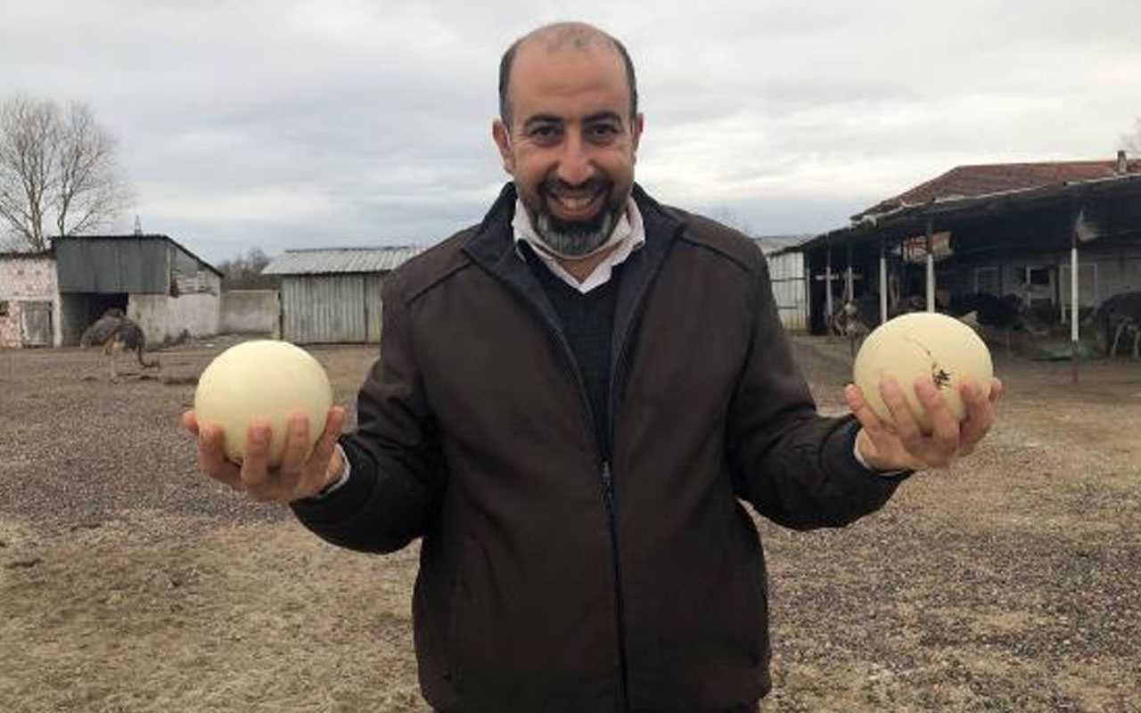 Türkiye İsrail'i geçsin istedi! Lübnanlı profesör Sakarya’ya deve kuşu çiftliği kurdu