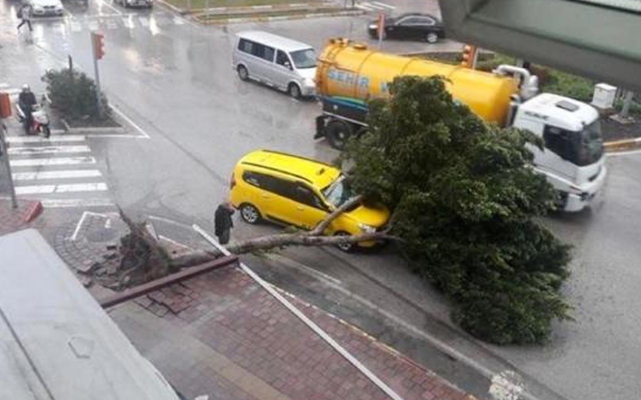 Denizli, Antalya ve İzmir'de fırtına hayatı olumsuz etkiledi!