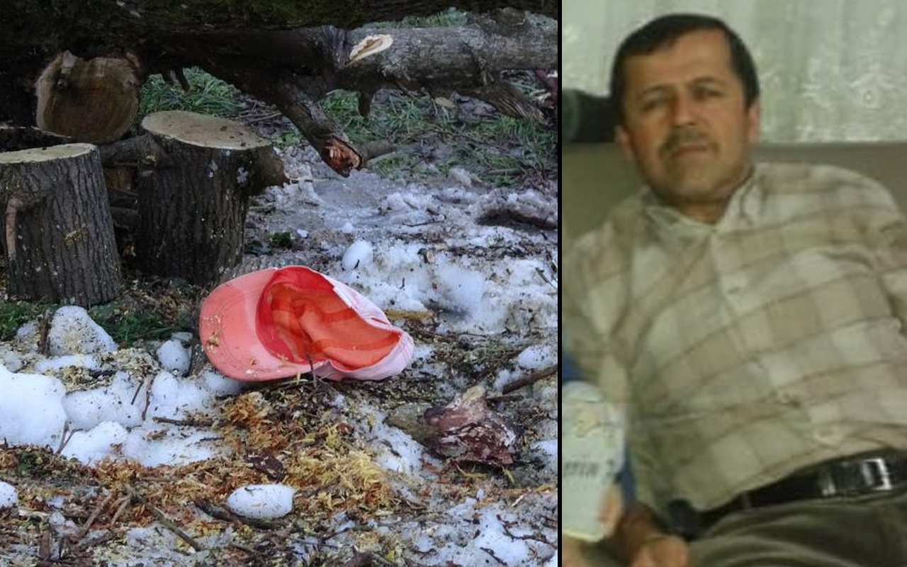 Zonguldak'ta ağaç yaşlı adamın sonu oldu! Geriye bu görüntü kaldı