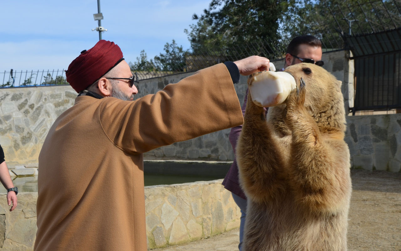 Cübbeli Ahmet Hoca'yı hiç böyle görmemiştik! Boz ayıyı elleriyle besledi
