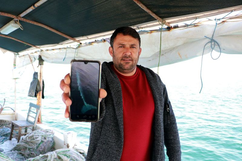 Adana'da balıkçılar telefona sarıldı o anları kaydetti Prof. Çevik'ten açıklama geldi
