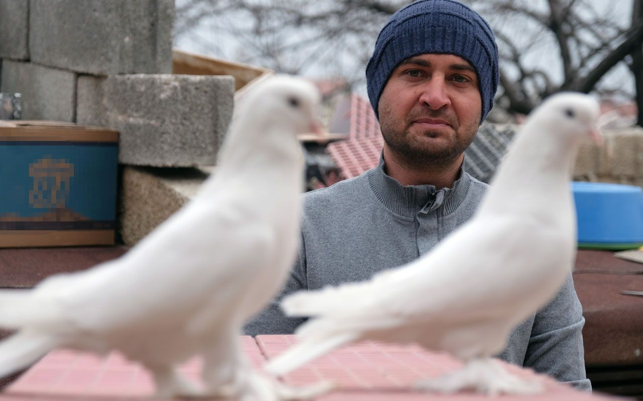 Konya'da otomobil fiyatına güvercin olur mu demeyin Almanya'ya dudak uçuklatan satış!