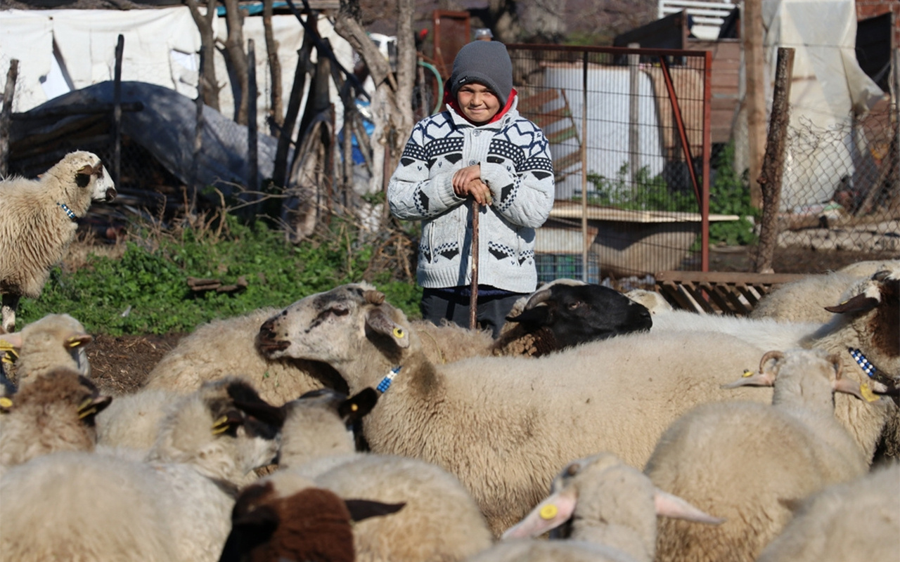 Tarım ve Orman Bakanı Pakdemirli'den küçük çoban Şevki'ye hediye