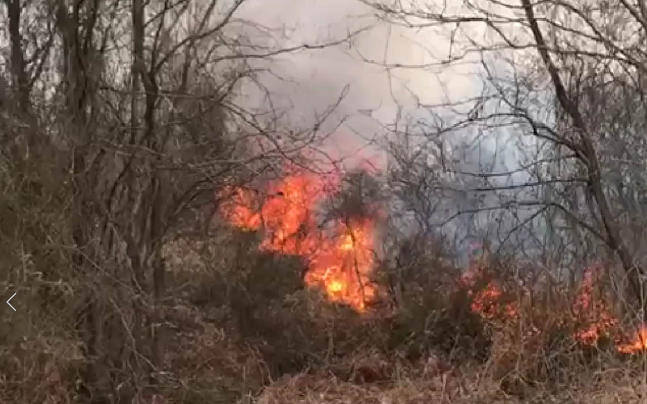 Beykoz'da ormanlık alanda yangın çıktı