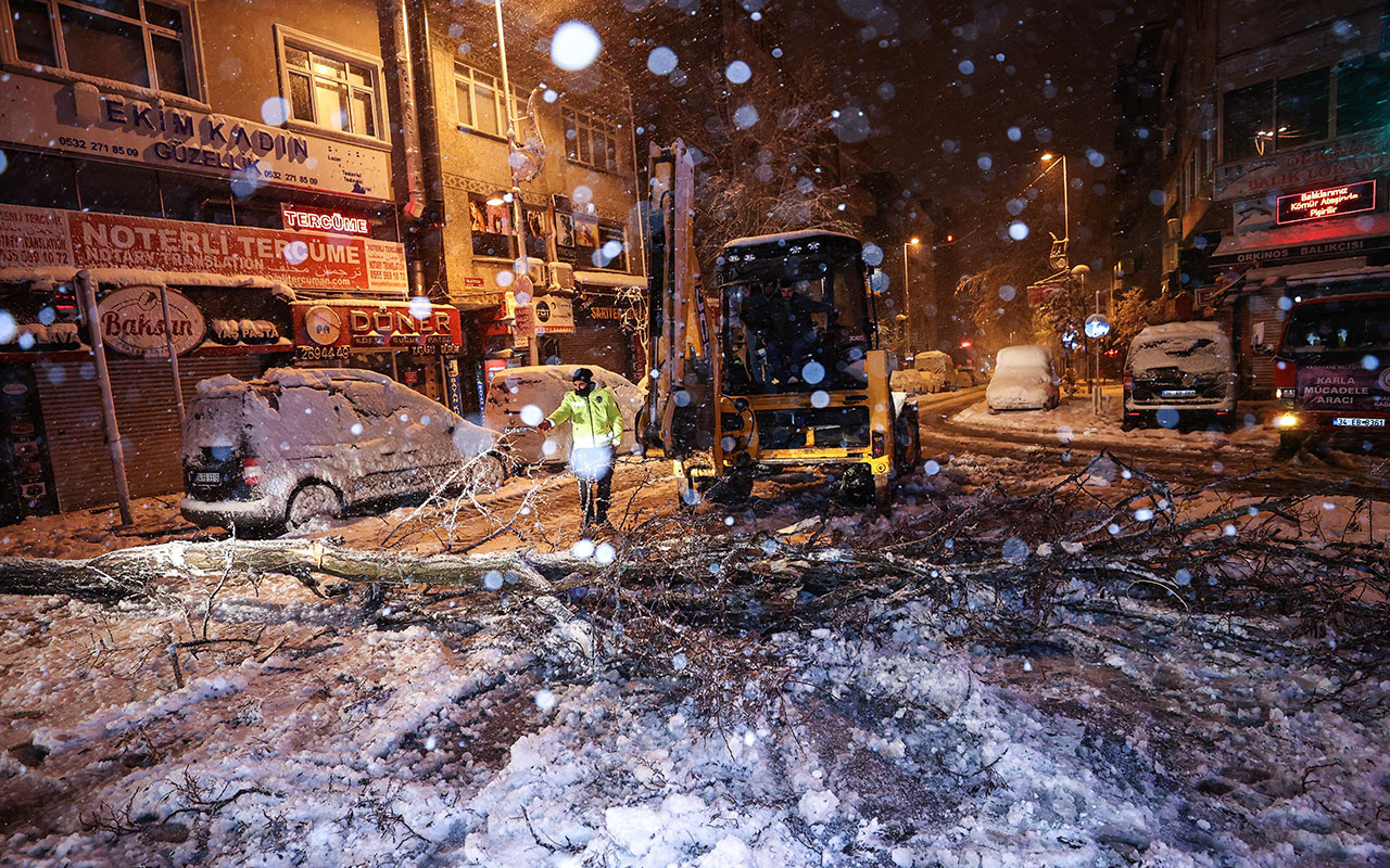 İstanbul'da kar ağaçları devirdi çatıları çökertti! Uyarılar üst üste geliyor İDO seferleri iptal