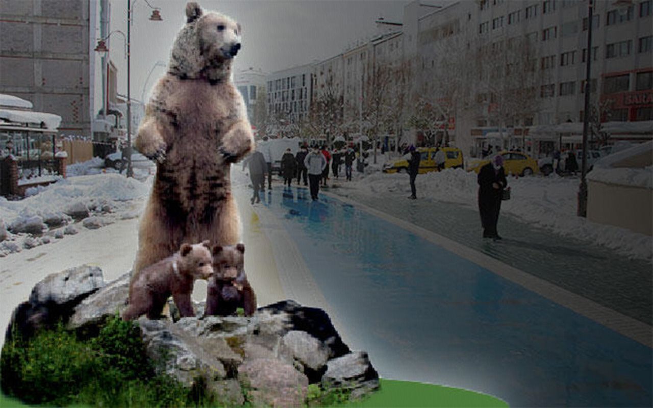 Bolu Belediyesi ayı heykeli yapmaktan vazgeçti