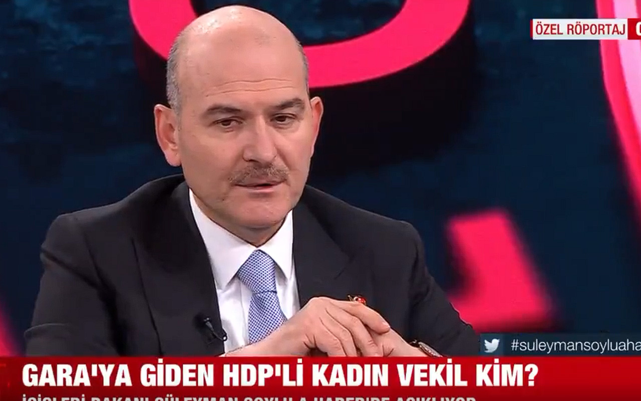 Bakan Süleyman Soylu Gara'ya giden HDP'li vekili açıkladı!