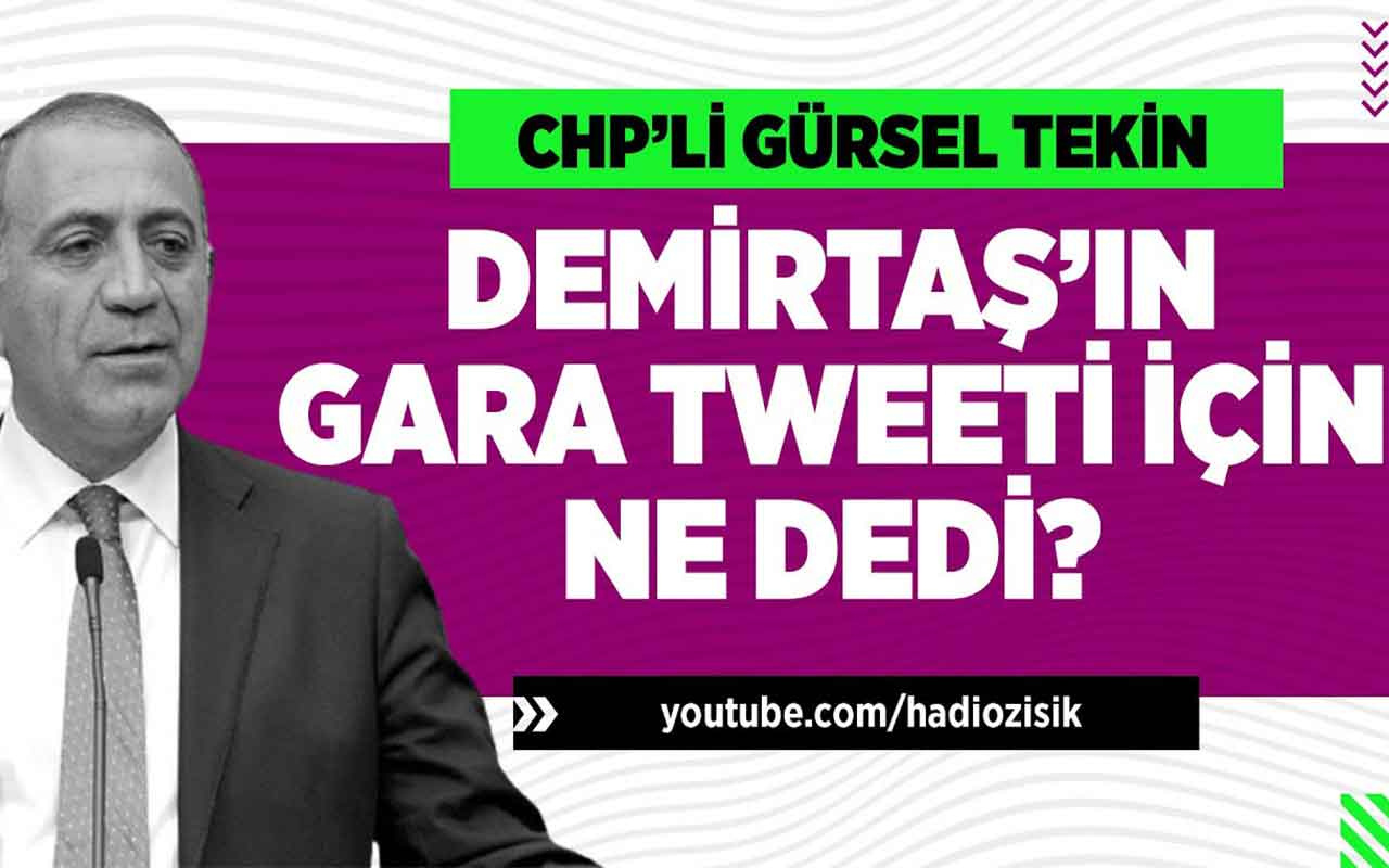 CHP'li Gürsel Tekin Selahattin Demirtaş'ın tweeti için ne dedi?