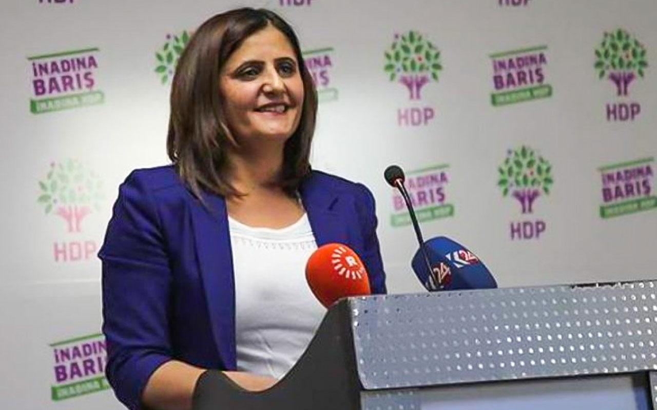 Teröristler ifadelerinde HDP Milletvekili Taşdemir'in Gara'ya gittiğini anlattı