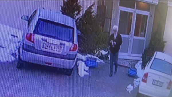 Pendik'te eşini dambılla öldüren cani koca tutuklandı! İfadeleri kan dondurdu