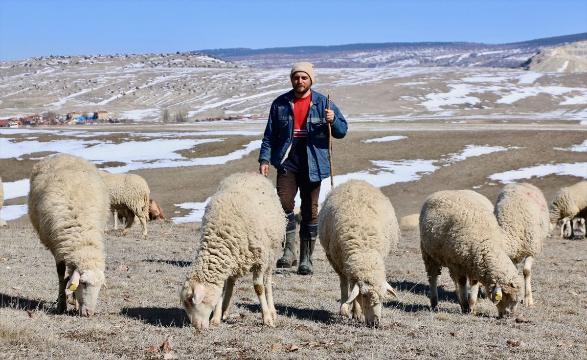 Eskişehir'de avukat oldu ama mutlu olamadı! Çobanlığı seçti huzuru buldu