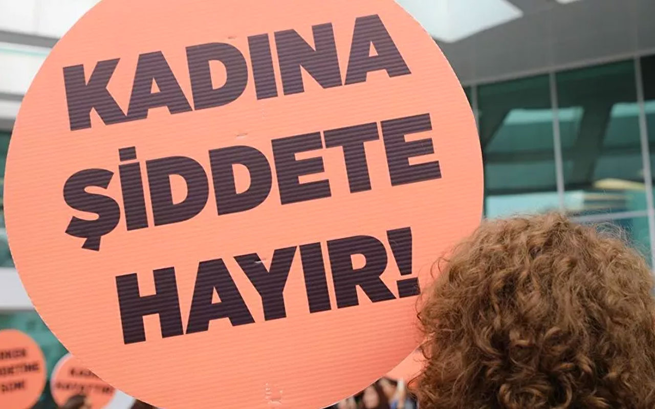Danıştay'ın iki üyesi İstanbul Sözleşmesi iptalini hukuka aykırı buldu
