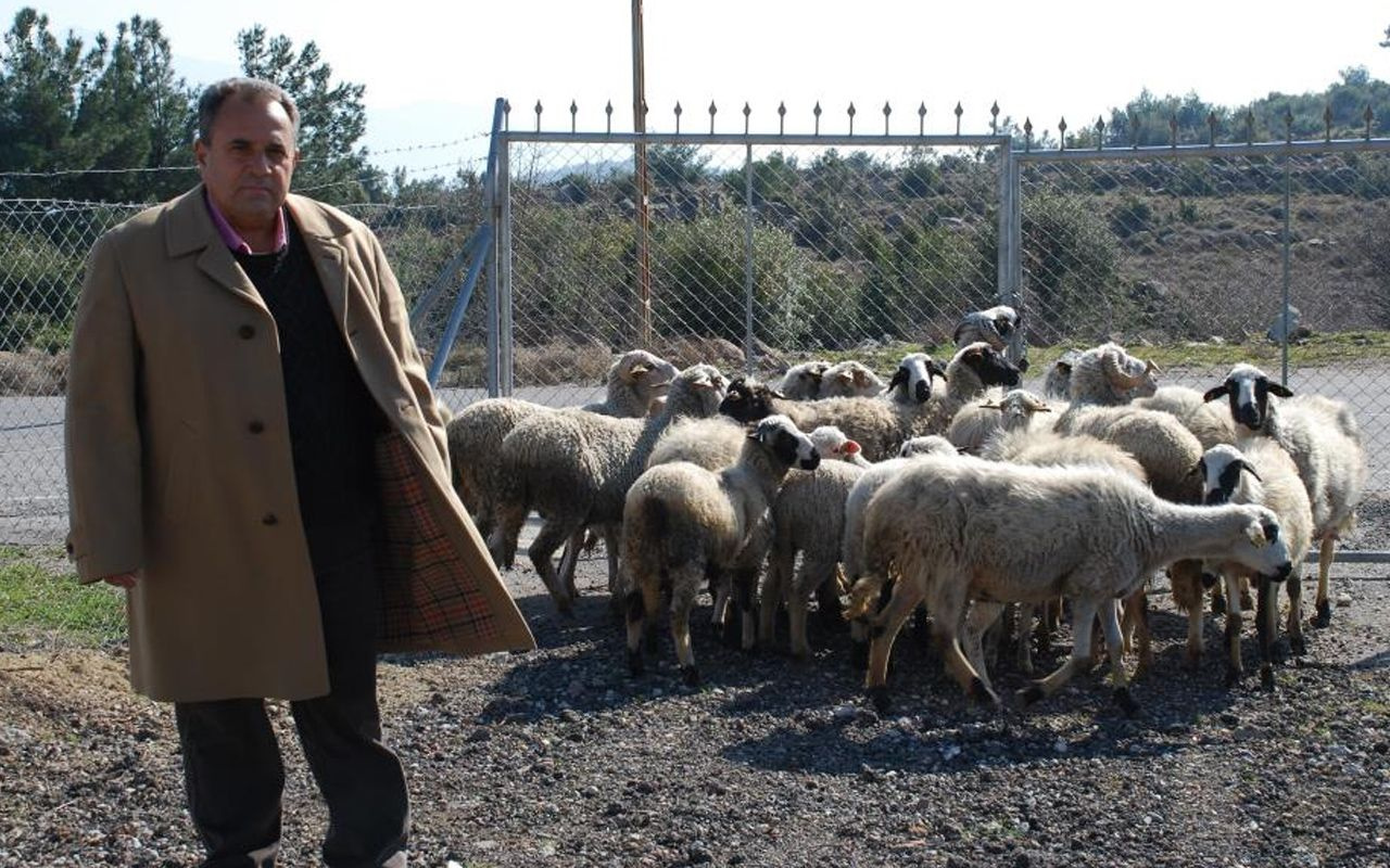 Keçi çobanı iş adamı oldu! İzmir'de araziye kurdu 'benimki keçi inadı' dedi