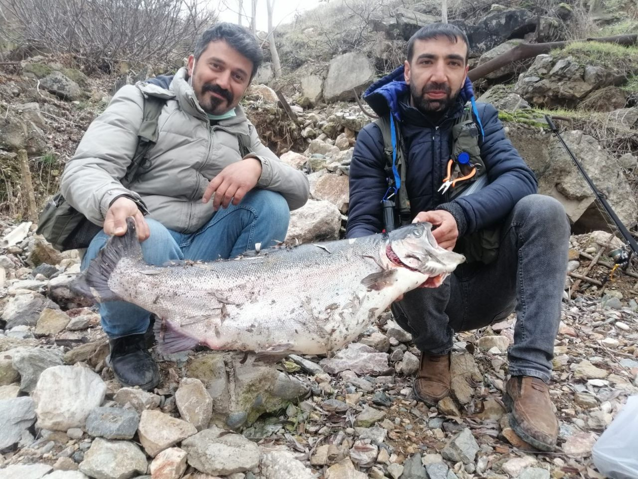  Türkiye ve Avrupa'nın en büyük alabalığı Elazığ'da olta ile yakalandı! Tam 115 santim