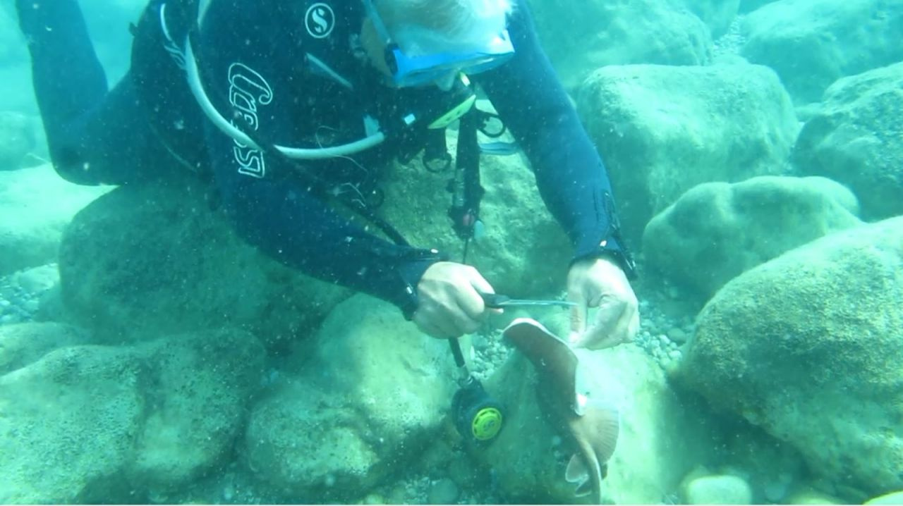 Antalya'da dokunduğu anda olanlar oldu! Ne olduğuna inanamadı