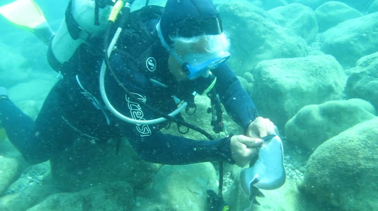 Antalya'da dokunduğu anda olanlar oldu! Ne olduğuna inanamadı