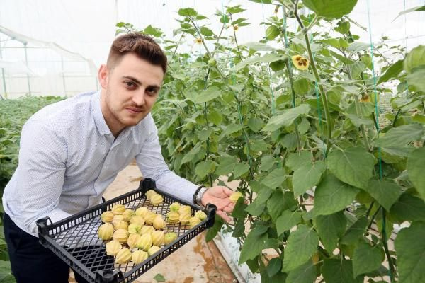 Dünyanın en zengini! Antalya'da yetiştiriliyor 100 gramı 15 liradan satılıyor