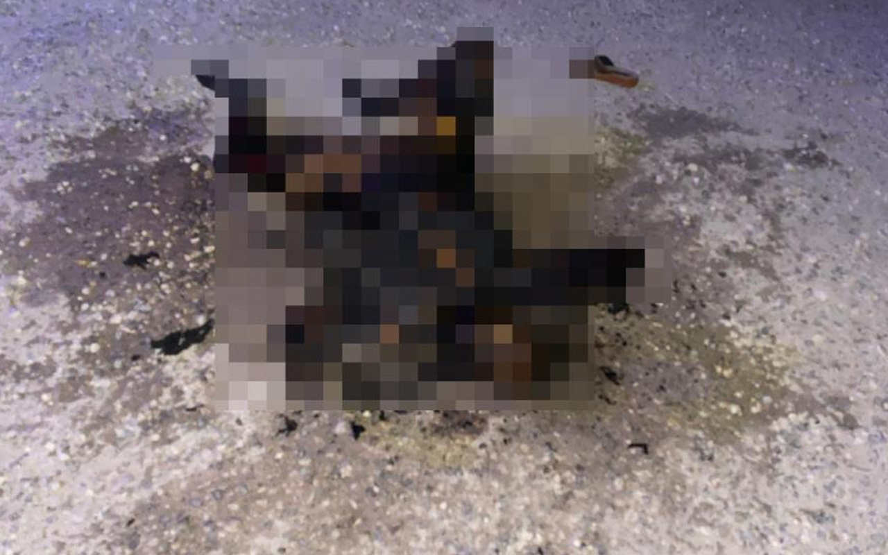 Şanlıurfa'da vahşet! Yol kenarında yakılmış kadın cesedi bulundu
