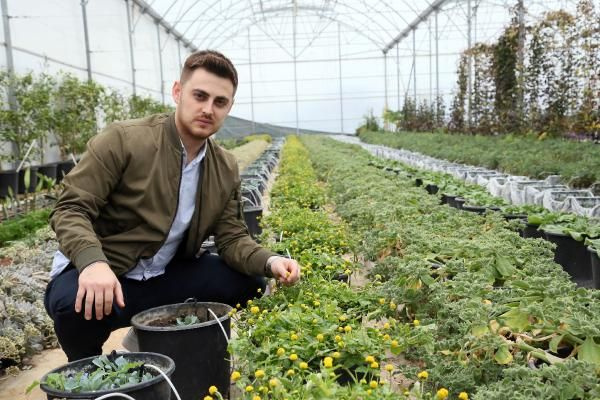 Antalya'da yetişen 'Elektirik Çiçeği' şeker gibi yeniliyor! Bir avucu 10 liraya satılıyor