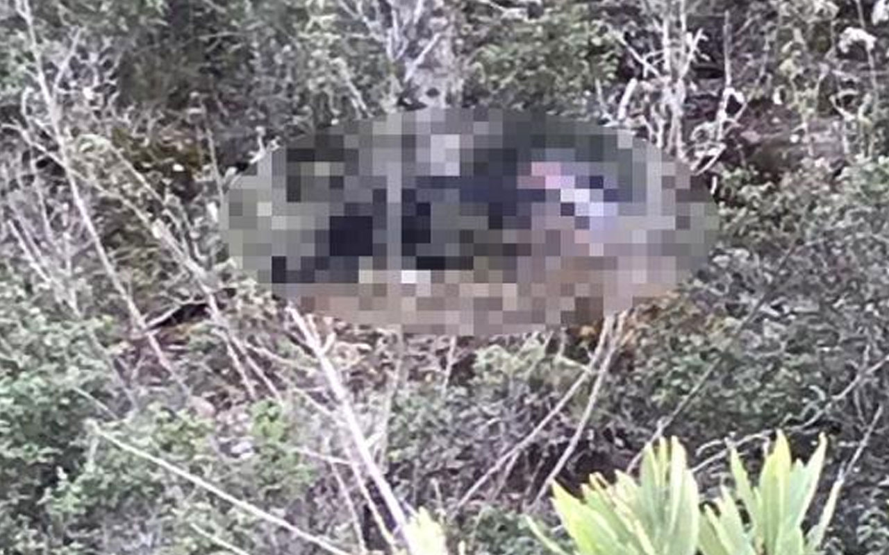Yanında tabanca bulundu! Manavgat'ta ormanda erkek cesedi şoku!