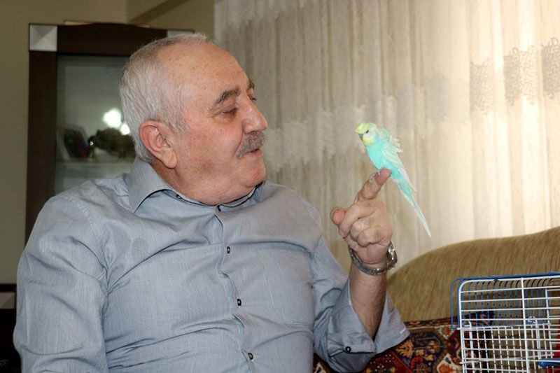 Sivas'ta kuş dile geldi PKK'ya beddua etti