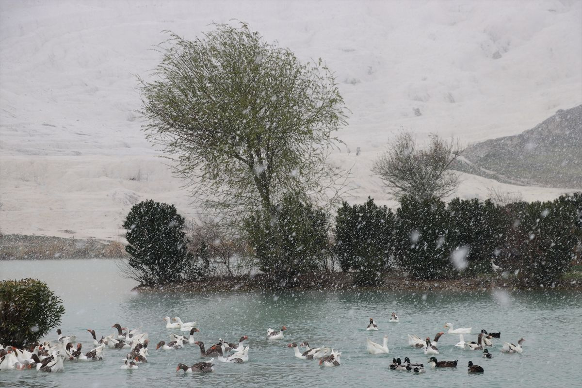 Denizli Pamukkale'deki turistler kar yağarken antik havuzun keyfini çıkardı