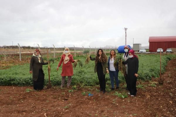 Gaziantep'te 7 kadın kurdu 200 bin adet ürettiler! Almanya sıraya girdi