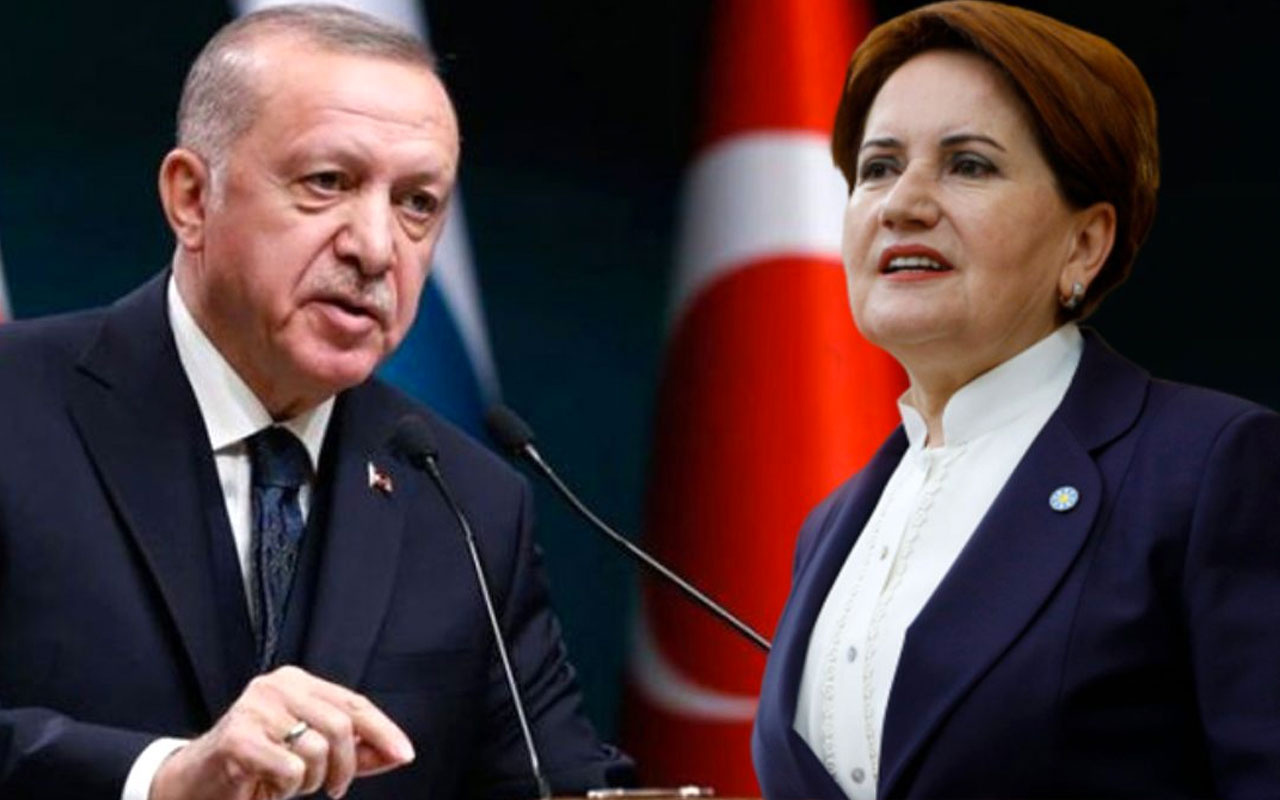 Barış Pehlivan'dan bomba yazı: Meral Akşener'den Erdoğan'a sürpriz 'bildiri' telefonu!