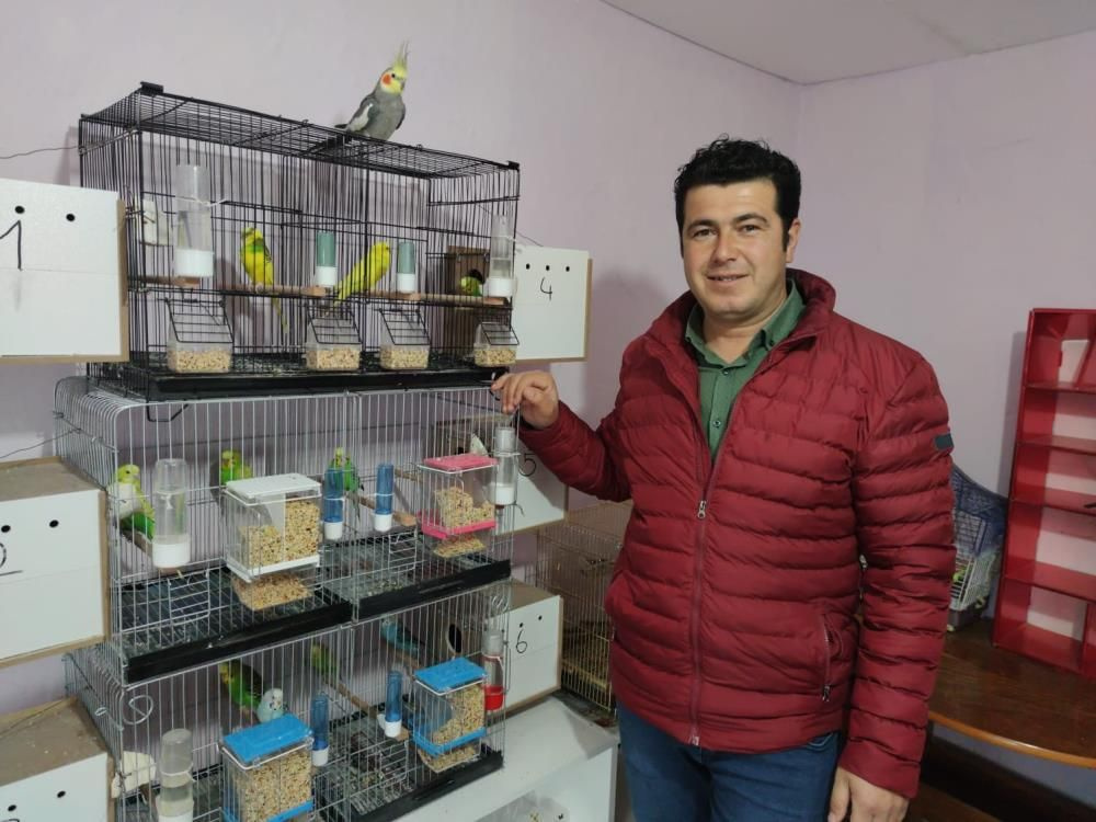 Amasya'da papağan ıslıkla Ölürüm Türkiye’m parçasını söylüyor ilgi odağı oldu