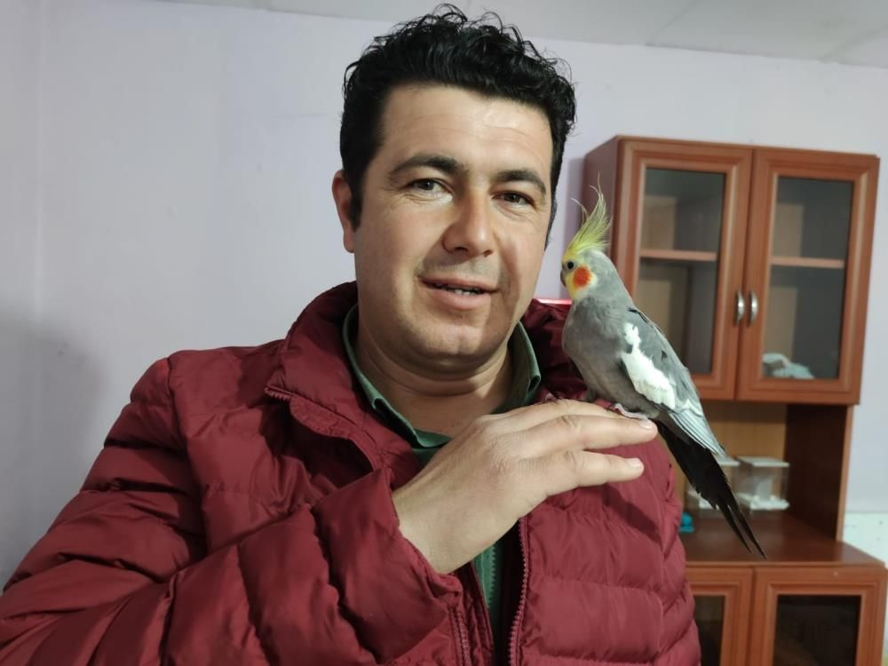 Amasya'da papağan ıslıkla Ölürüm Türkiye’m parçasını söylüyor ilgi odağı oldu