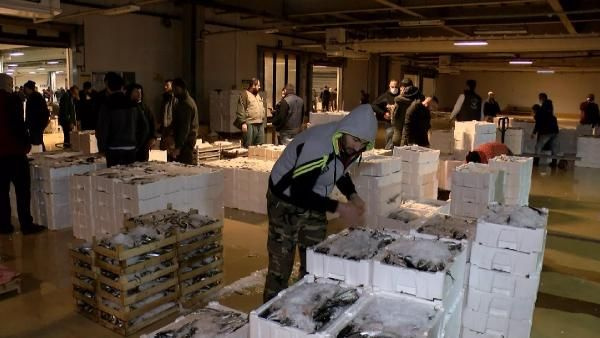 Balık sezonu kapandı! Sezonun son balıkları hallere geldi 11 milyon lira ceza yazıldı