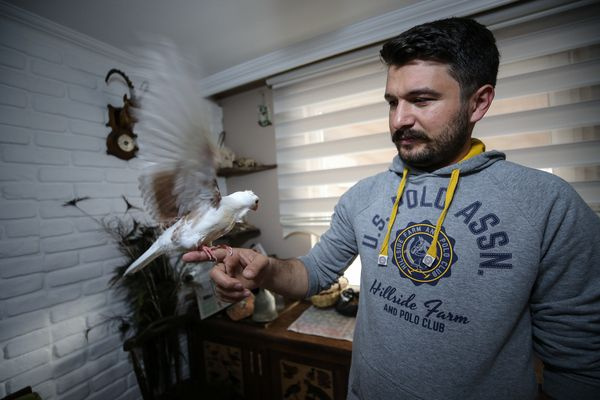 Bursa'da ölmek üzereyken kurtardı ünü Türkiye'ye yayıldı: Zibidiyi herkes merak edip, görmek istiyor