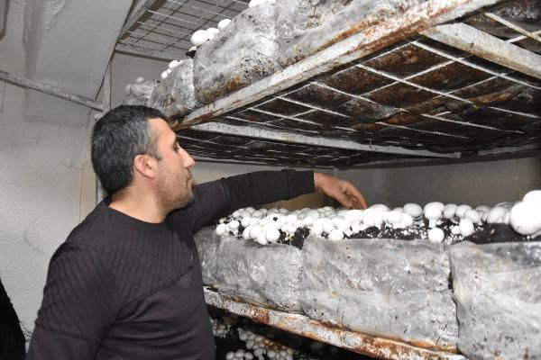 Bitlis'te kendi işini kurdu yılda 240 ton satıyor! Dört bir yandan sipariş yağıyor