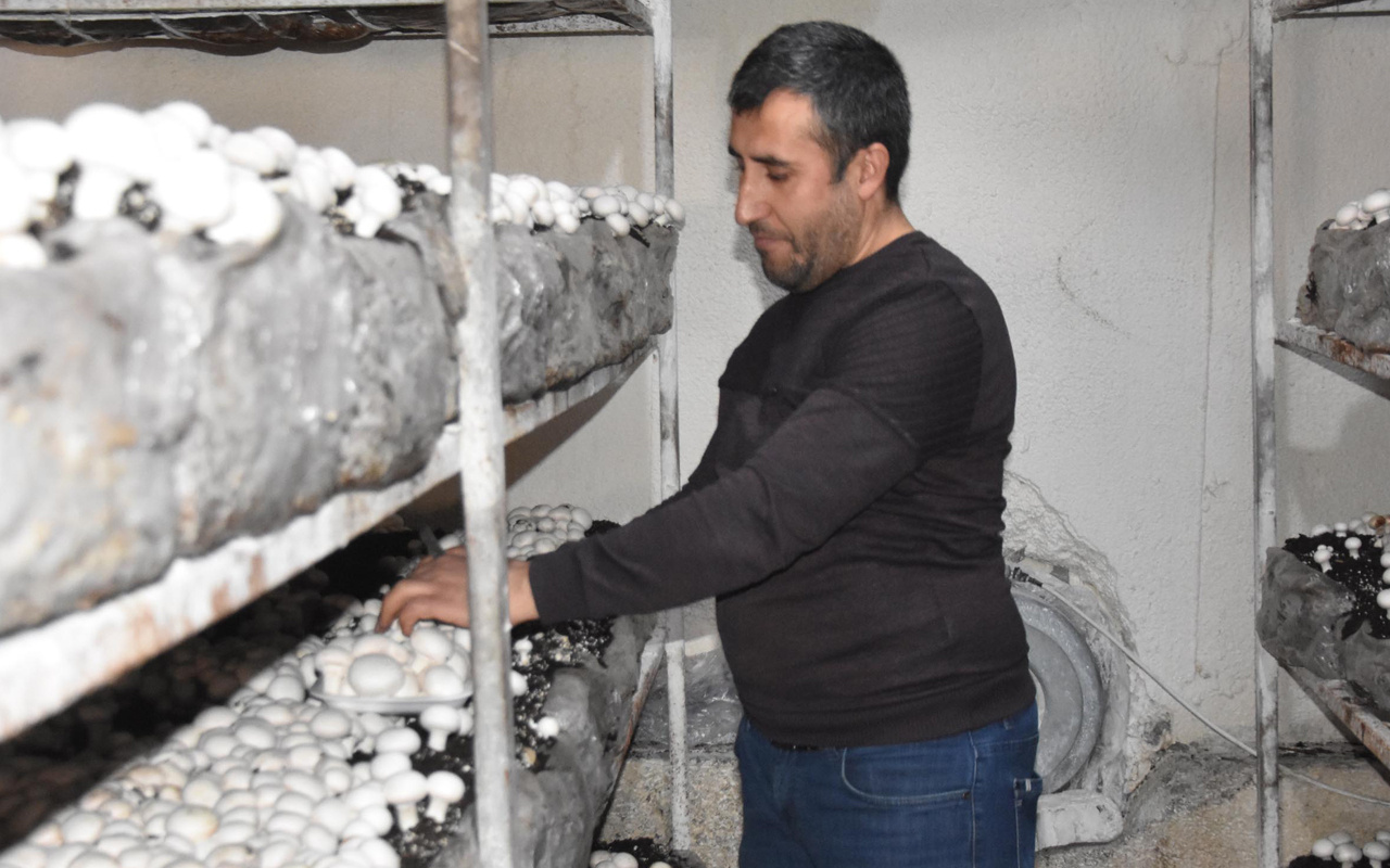 Bitlis'te kendi işini kurdu yılda 240 ton satıyor! Dört bir yandan sipariş yağıyor