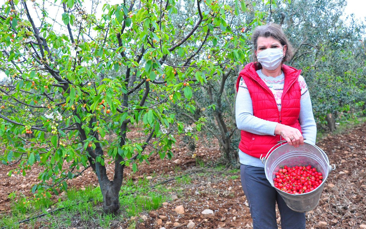 İstanbul yaramadı şehir hayatından kaçtı! Kadın girişimci Manisa'da 20 ton üretip satıyor