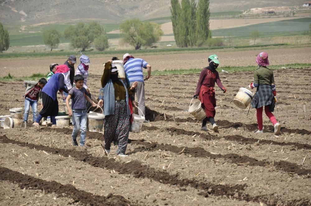 Tarımın bel kemiği mevsimlik işçiler Ramazan ayında Eskişehir'de işlerinin başında